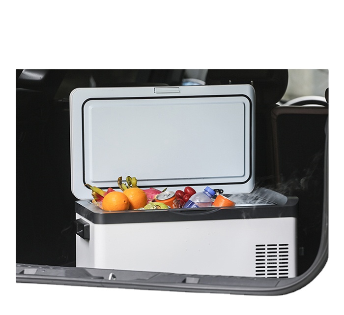 30 Liter 12V 240V Portable Cam - Outdoor Camping Box ulasan dan harga