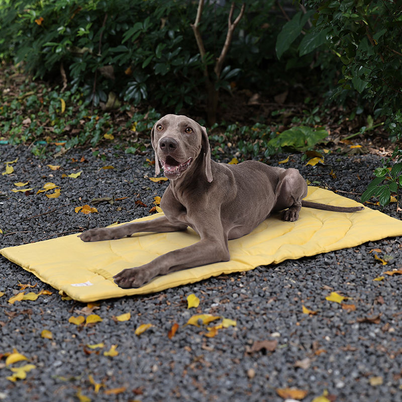 Portable Pet Mat Foldable Pet  - Outdoor Camping Dog Fence ulasan dan harga